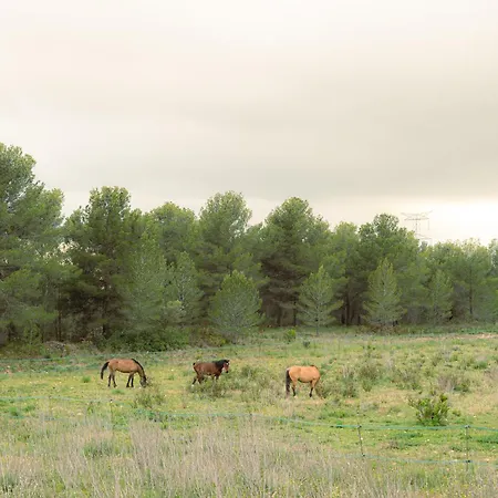 Masia En Plena Naturaleza Y Tranquilidad Chalet *